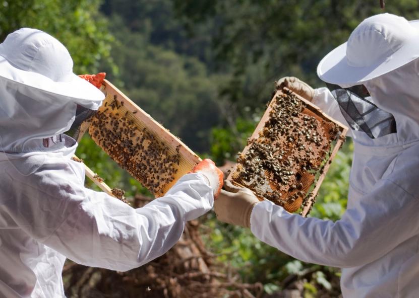 Asociatyvi nuotr. Canva nuotr. 