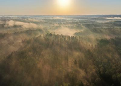 Valstybinių miškų urėdijos nuotr.