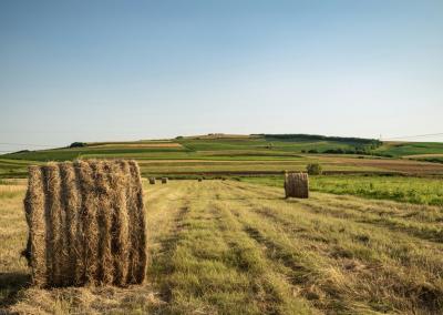 Nušienauti laukai. NMA nuotr.