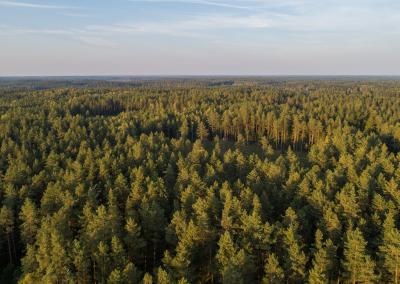 Aplinkos ministerijos nuotr.