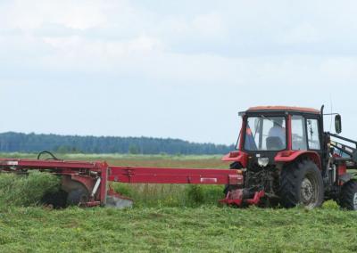 Selemono Paltanavičiaus nuotr.