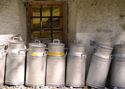 Asociatyvi nuotr. Pieno ūkis nuotr.