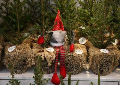 Valstybinių miškų urėdijos nuotr.