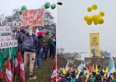 Asociatyvi nuotr. Facebook nuotr.