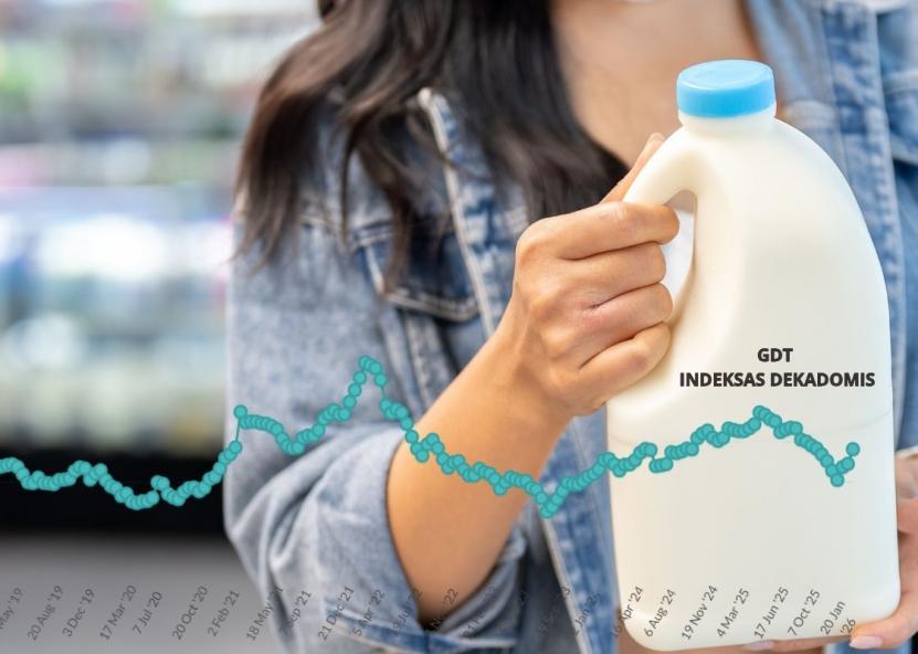 GDT indekso pokyčiai dekadomis.