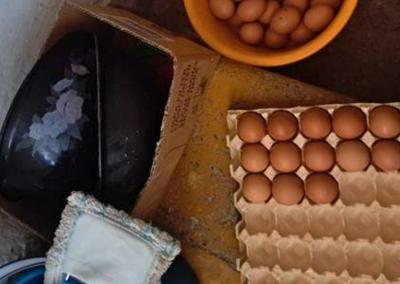 Įvykio nuotr. VMVT nuotr.