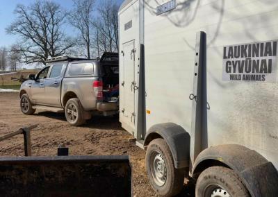 AAD inspektoriai konfiskavo iš P. Šiaučiūno strutį. Facebook nuotr.