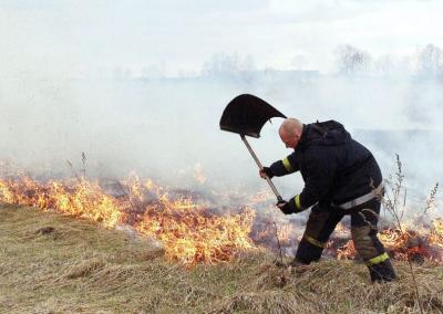 Dega žolė. Rinkos aikštės nuotr.