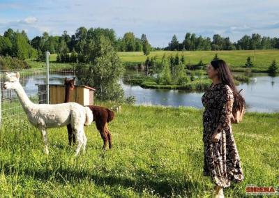 Naujieji alpakų namai buvo įrengti konsultuojantis su jas auginančia specialiste B. Dapkiene. B. Dapkienės nuotr.